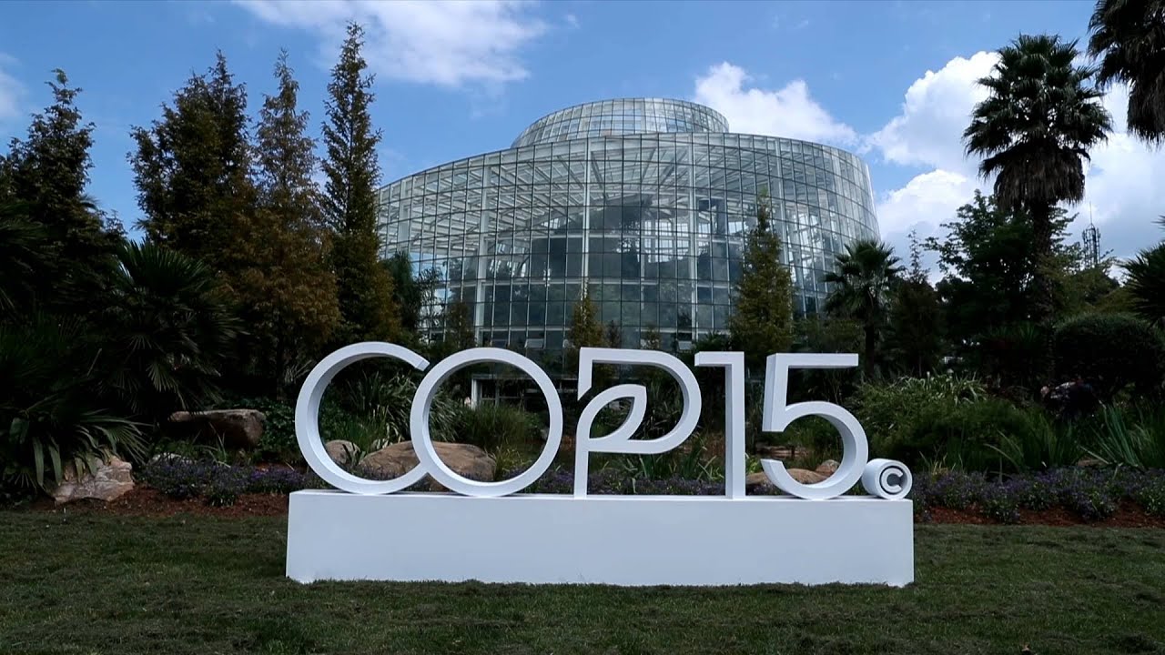 GLOBALink | A visit to greenhouses for 