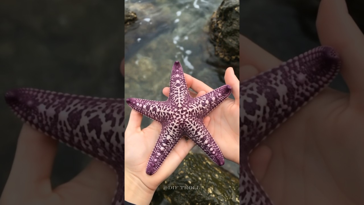 Animal Incredible Transformation!