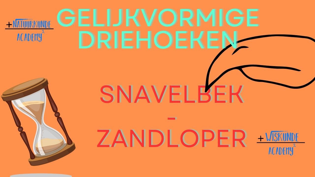 Gelijkvormige driehoeken rekenvoorbeeld snavelbek en zandloper figuur