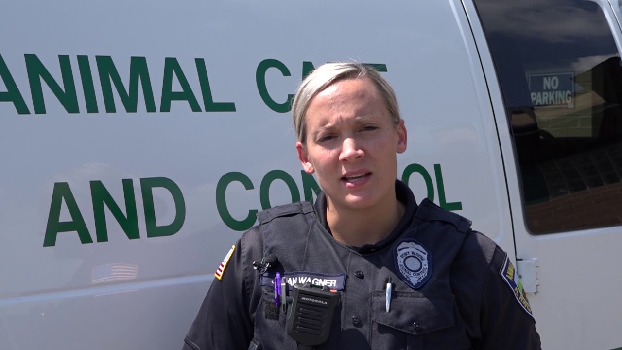 Petwise: Animal Control Officers