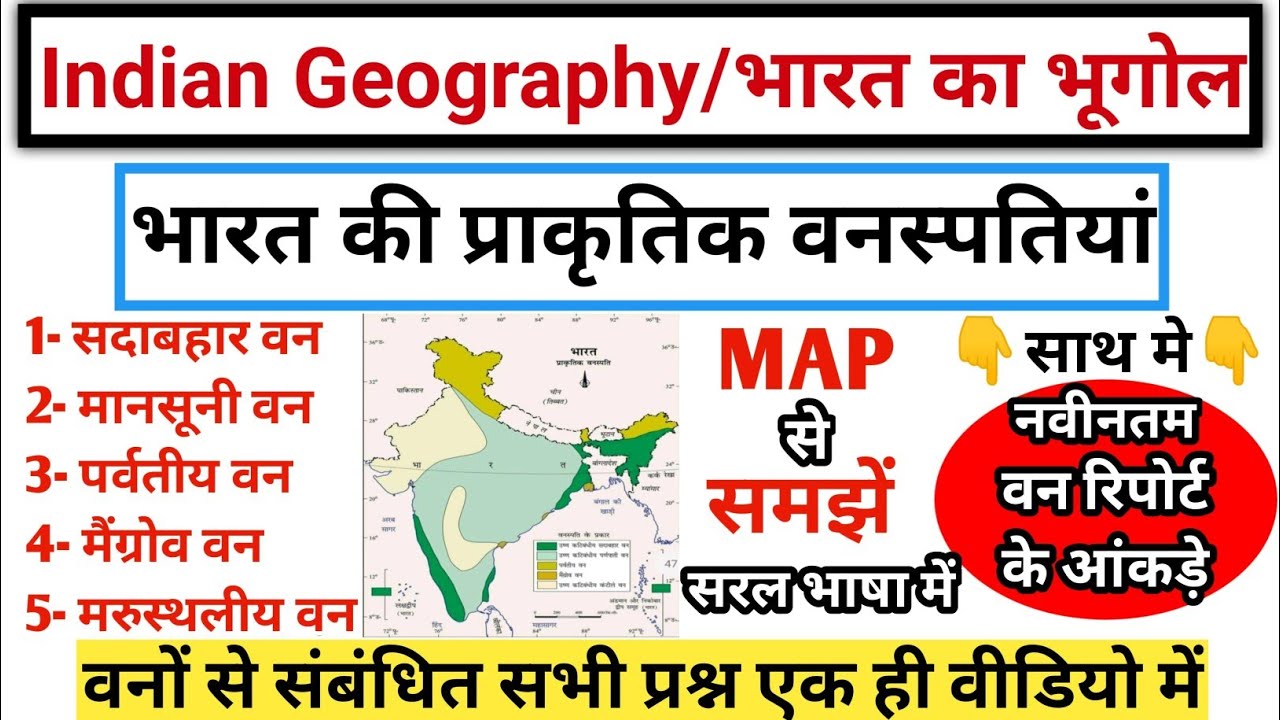 Indian Geography : भारत के वन एवं प्राकृतिक वनस्पतिया | Natural Vegetation in India | gk tracker