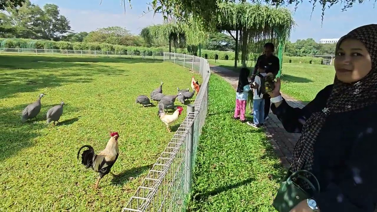 lawatan farm fresh