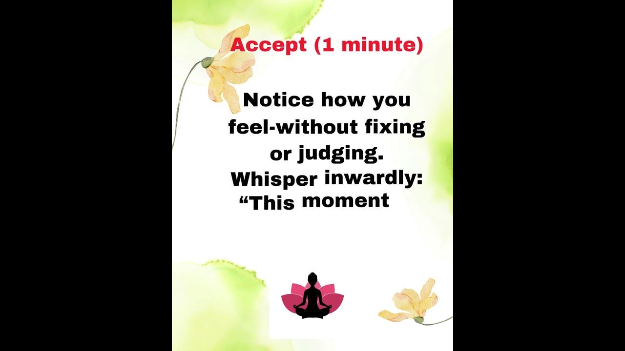 Daily Zen✨ Quiet Mind Shift | 