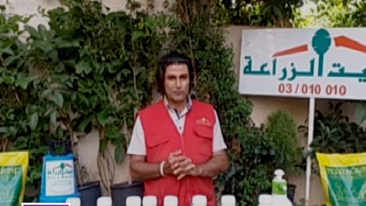 كيفية القضاء على البق مع الخبير الزراعي مروان حيدر