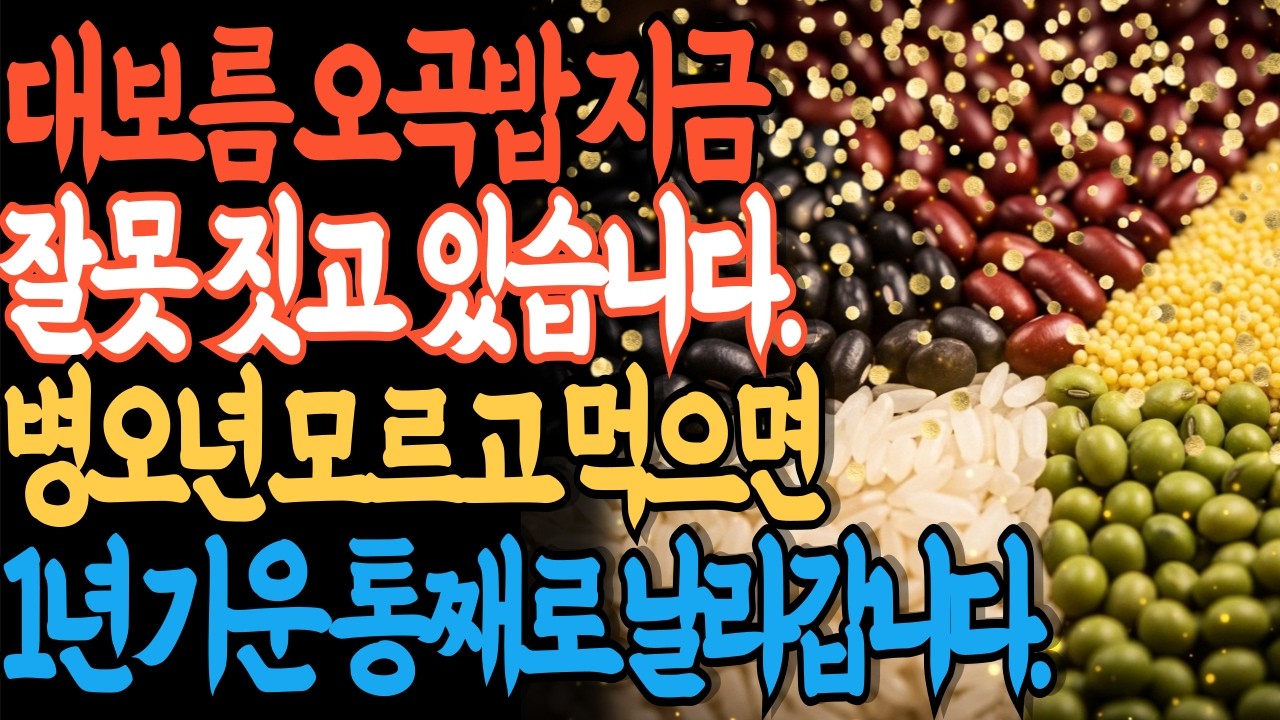 2026 병오년 오곡밥, 이렇게 드시면 1년 기운 날립니다 | 띠별 풍수 비법 공개