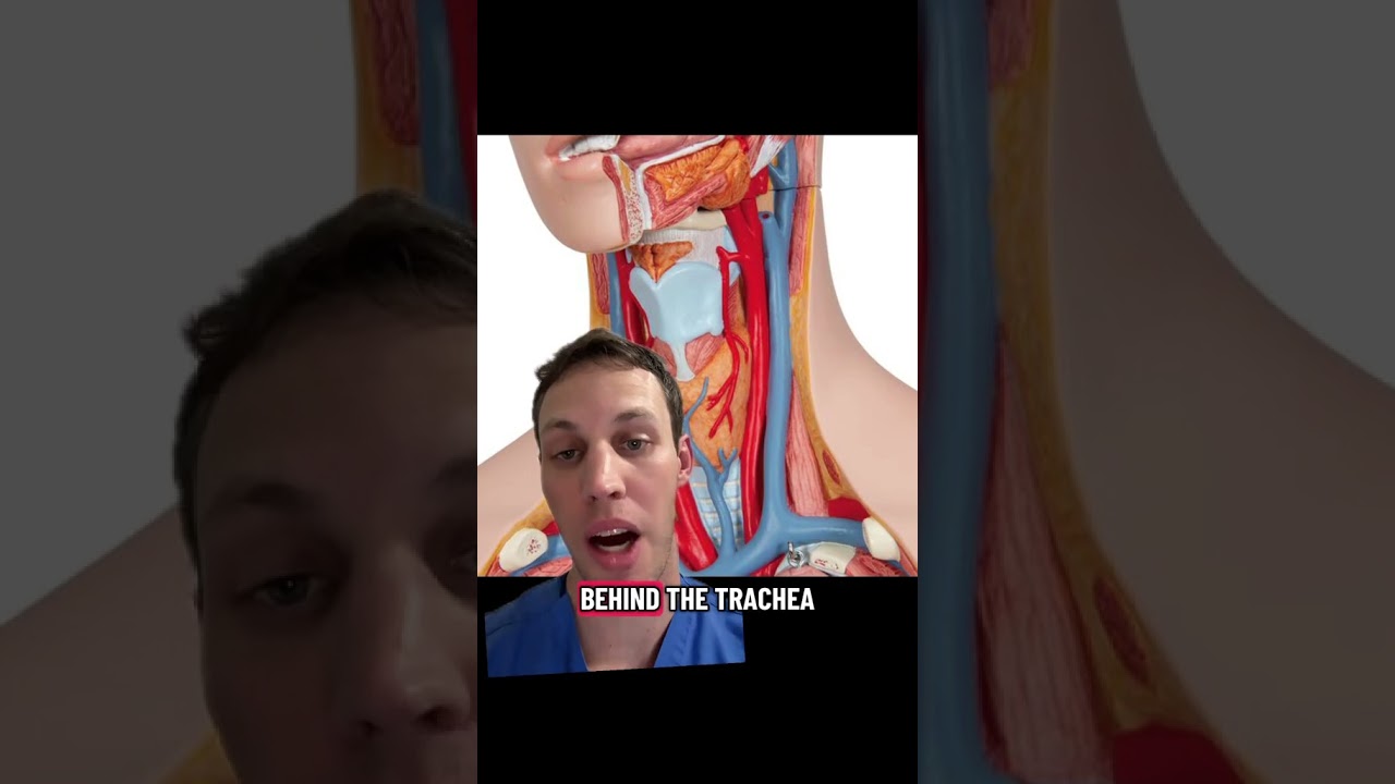 Why Gunshot Wounds to the Neck Are Often Fatal
