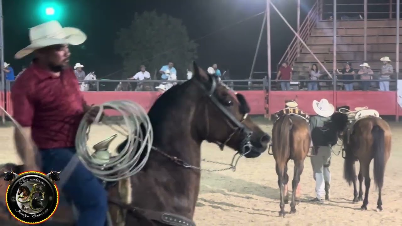 Cuadrilla de Los Agave 🐴