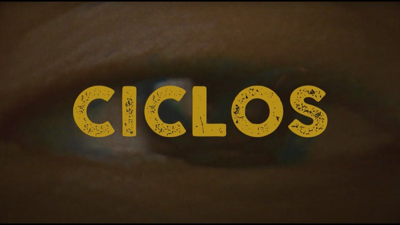 QUIKE - CICLOS
