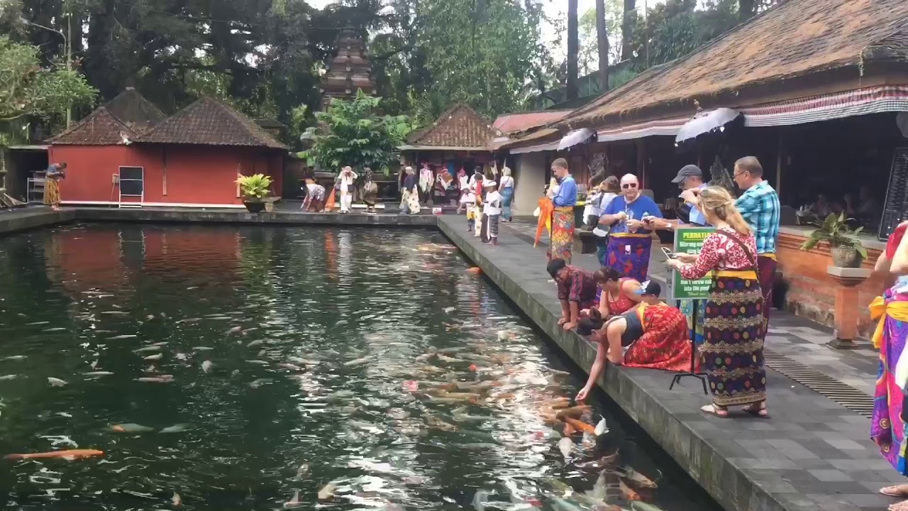 Gianyar, Bali | Гианьяр, Бали