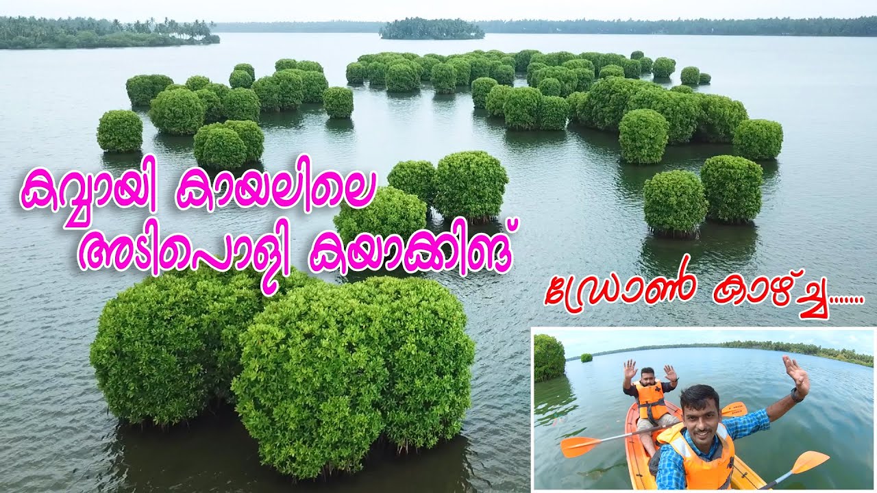 KAVVAYI KAYAKING | KAYAKING | TENT STAY| PAYYANUR | KANNUR TOURISM | KERALA
