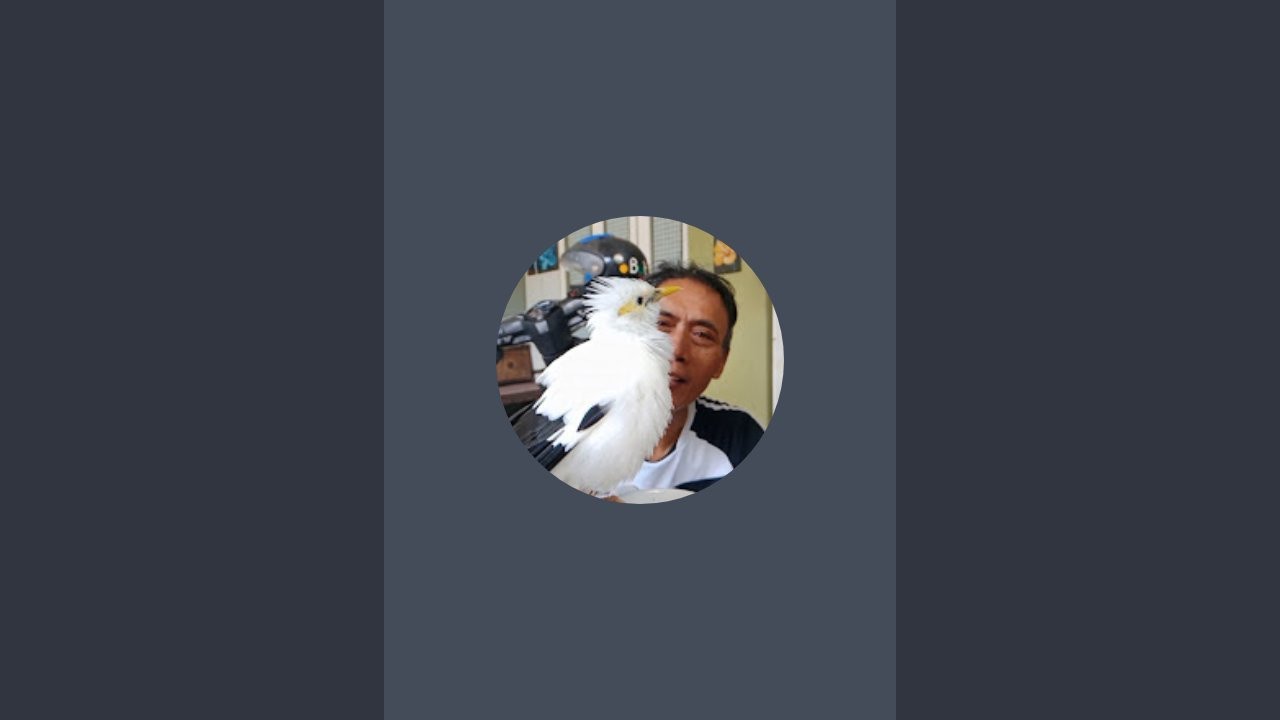 Sudah sore japut mau mandi dan temanin siram tanaman... 🥰