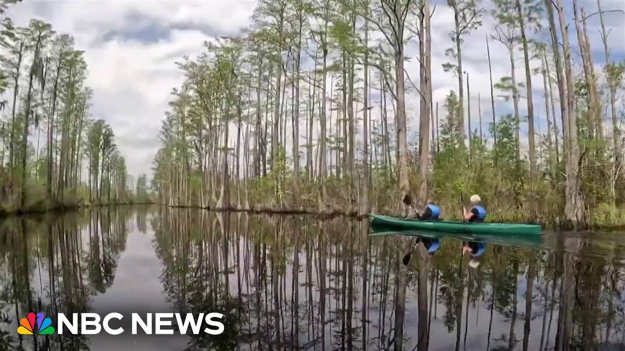 Environmentalists warn of threat to famed Okefenokee Swamp