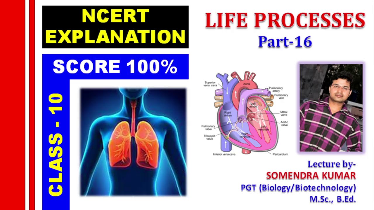Life Process Class 10 science biology Part-16 Haemodialysis (Artificial kidney), Excretion in Plants