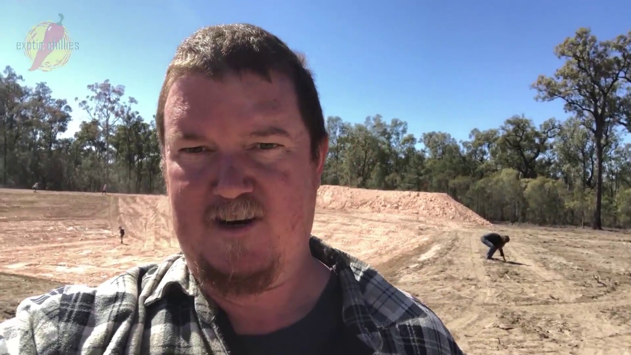 Farm dam construction
