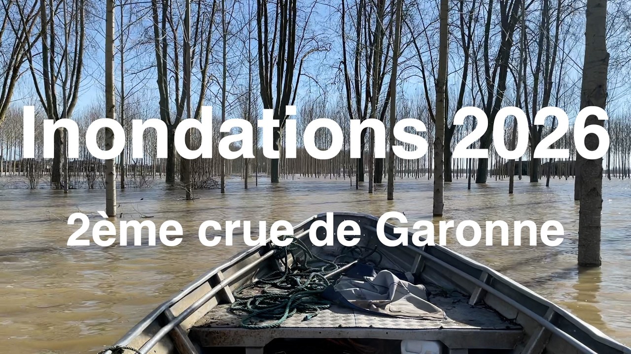 Inondations Marmande 2026 - 2ème crue de Garonne (Couthures sur Garonne)