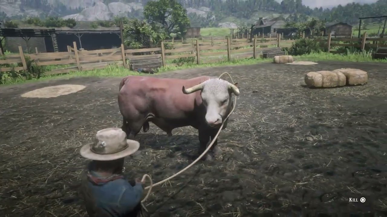Bullfightin' and Whatnot in RDR2 Online