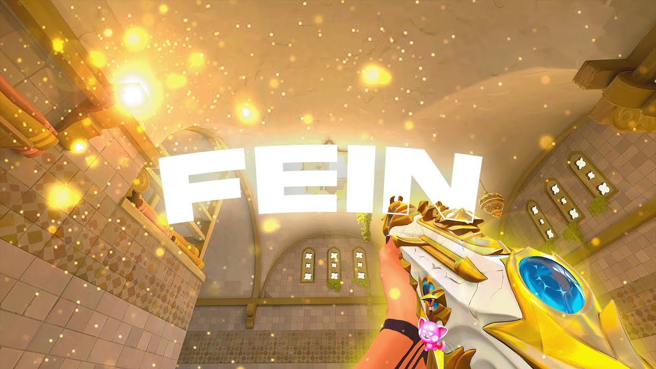 Fein 🌍 ( Valorant Montage )
