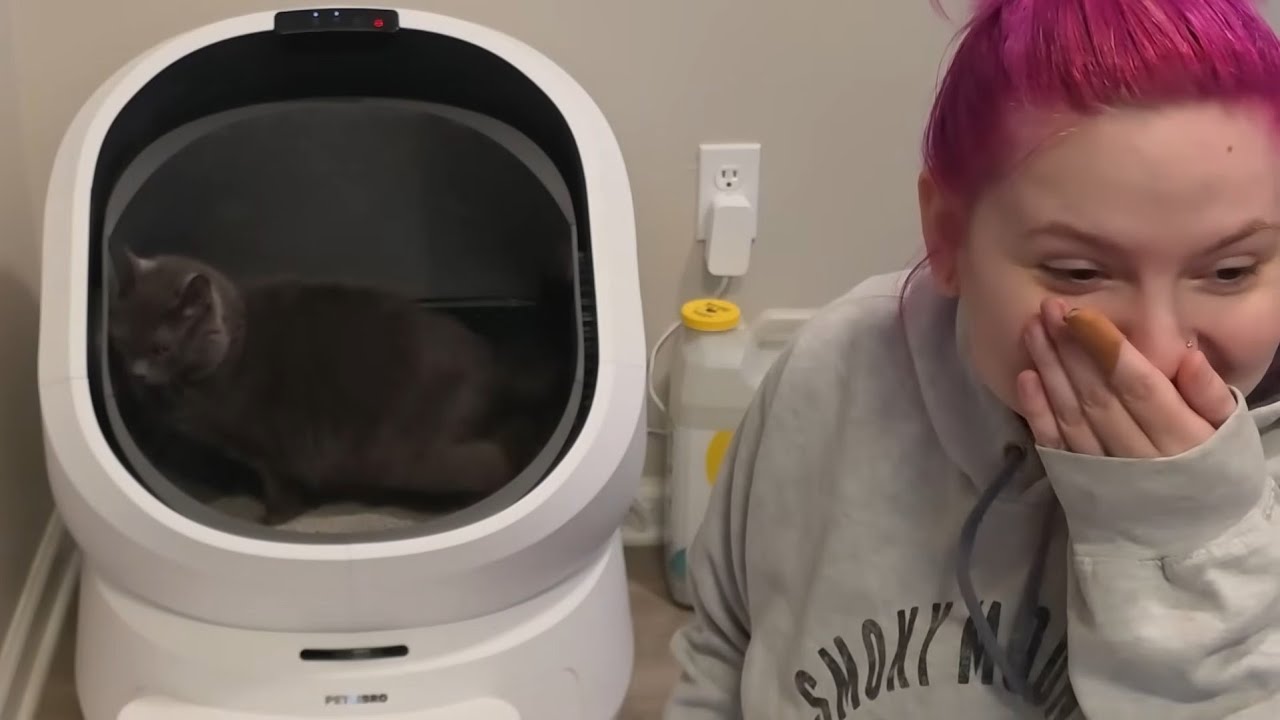 Пробую умный лоток Petlibro Luma на базе искусственного интеллекта 😱🤯 (невероятно круто)