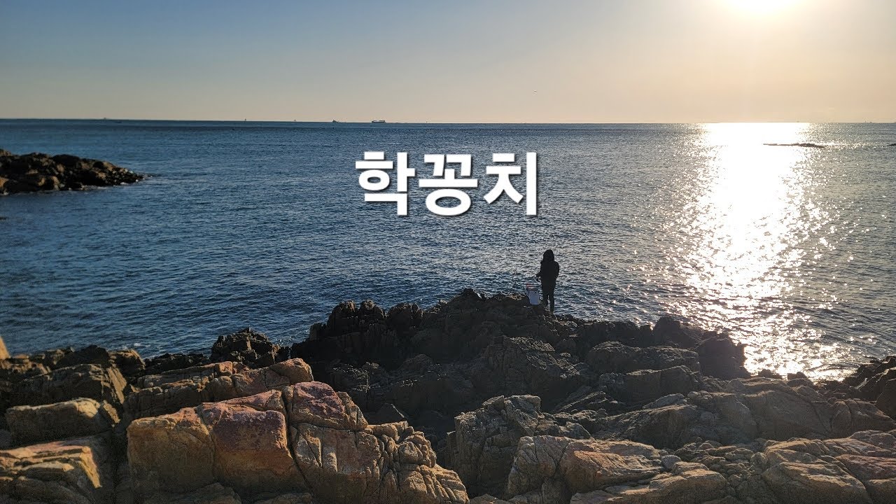 기장권 갯바위(조용한곳)👉학꽁치낚시👈탐사#학꽁치 #fishing