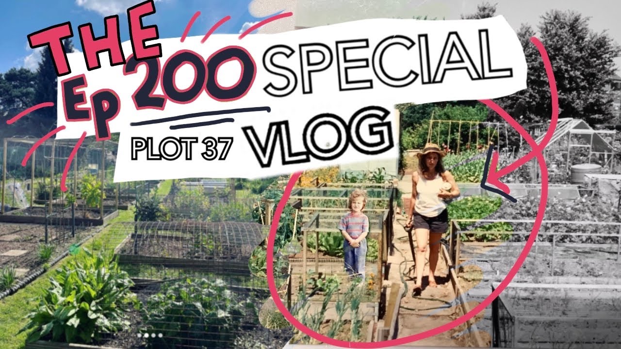 An Interview with Mum: The History of Plot 37!  Ep 200 Special || Plot 37