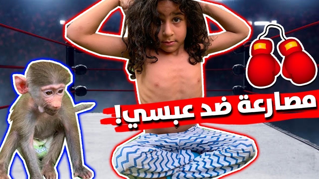 مؤيد وعبسي في حلبة مصارعة😭 من فاز؟