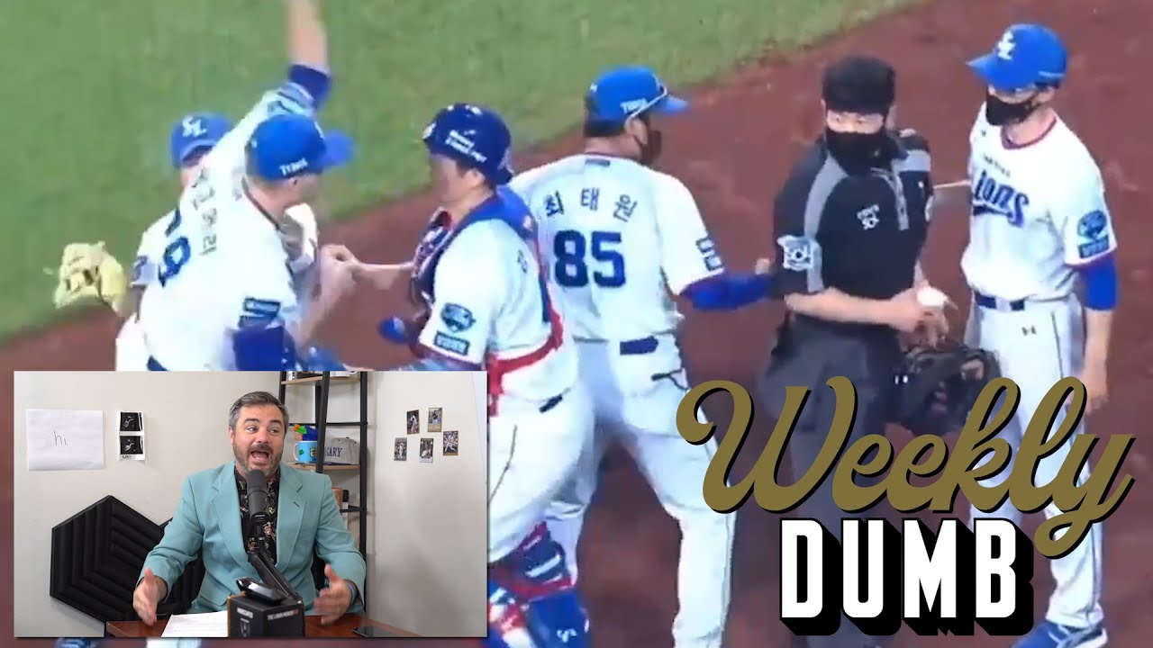 Pitcher throws rosin bag at umpire & Falling cat is saved | Weekly Dumb