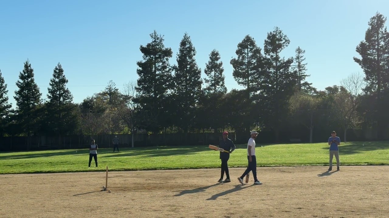 Batting highlights 02/28/26