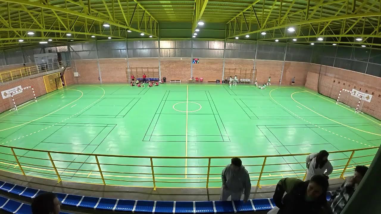 2° jornada - Bisontes Castellón - C. F. S. Navarti A