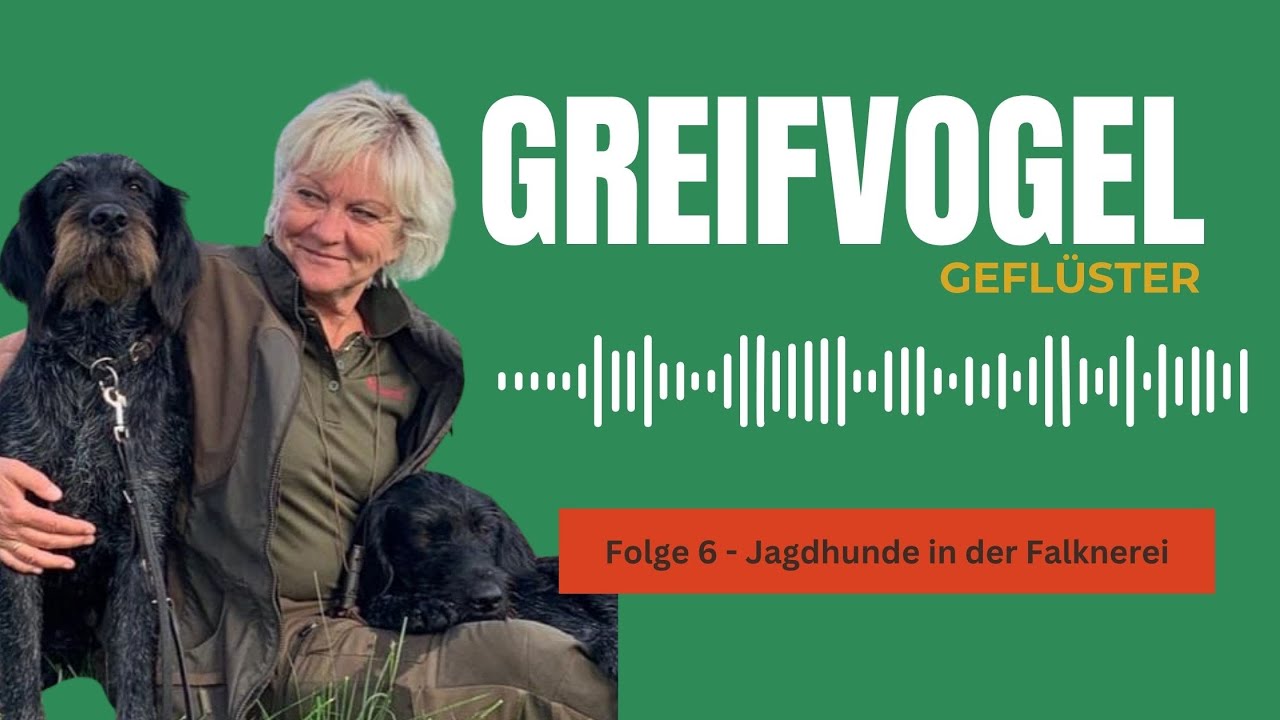 Jagdhunde und Falknerei - Die perfekte Partnerschaft