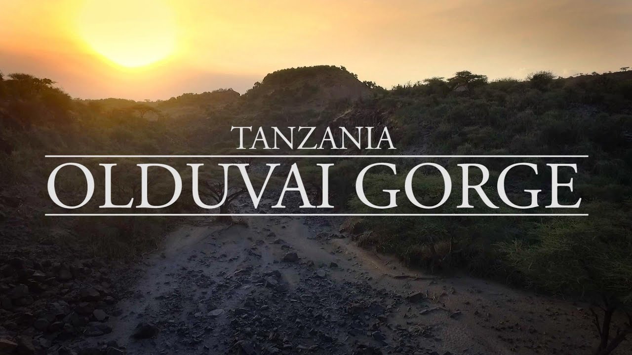 Tanzania: Olduvai Gorge