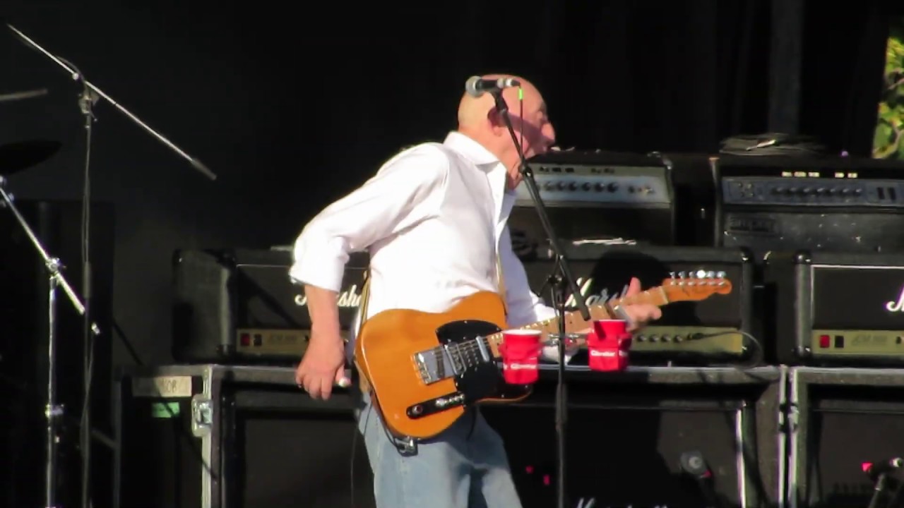 David Wilcox - 