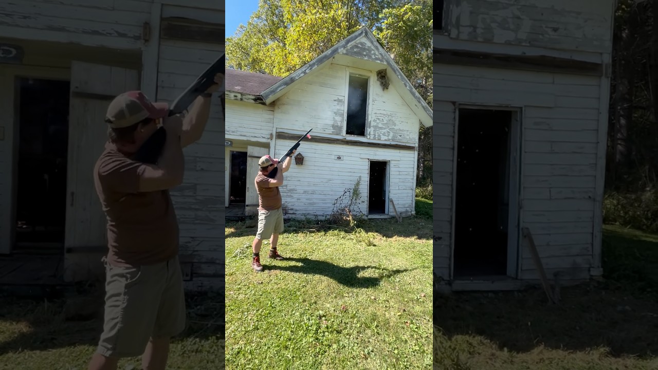 Shooting A Hornet&rsquo;s Nest #bee #hornet #wasp #jackass #guns #shotgun #dumb #badidea #targetshooting