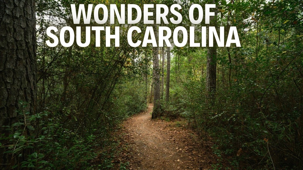 Путеводитель по Южной Каролине | Главные туристические достопримечательности и чем заняться в 202...