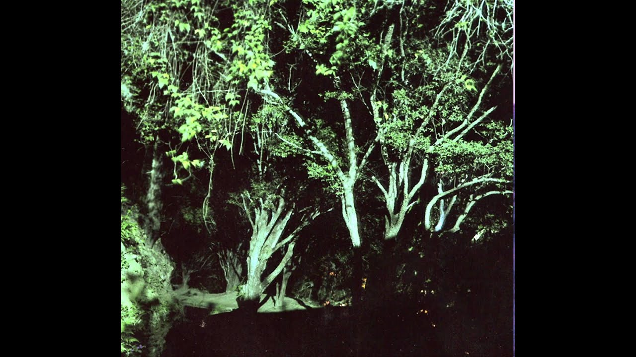 Marcelo Camelo - Saudade