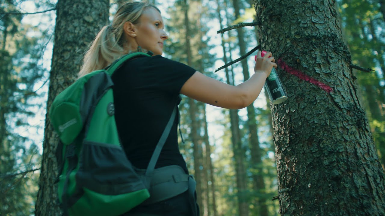 Revierassistentin Magdalena Sommerauer &uuml;ber ihre Aufgabe bei den Bundesforsten