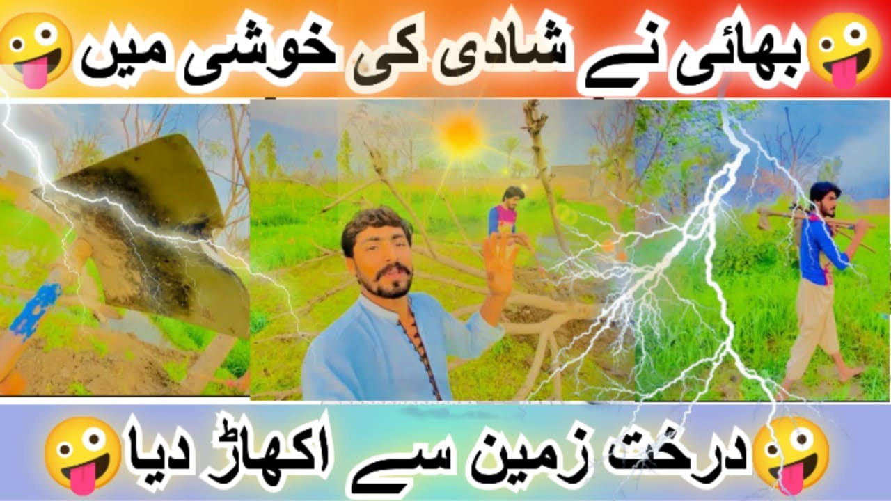Bhii ne shady ki khushii main tree kaat Dalia