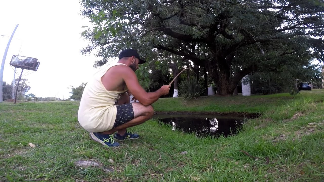 PESCA URBANA caminando por la ruta, pescando diferente especies, insectos, y aparece LA RATA