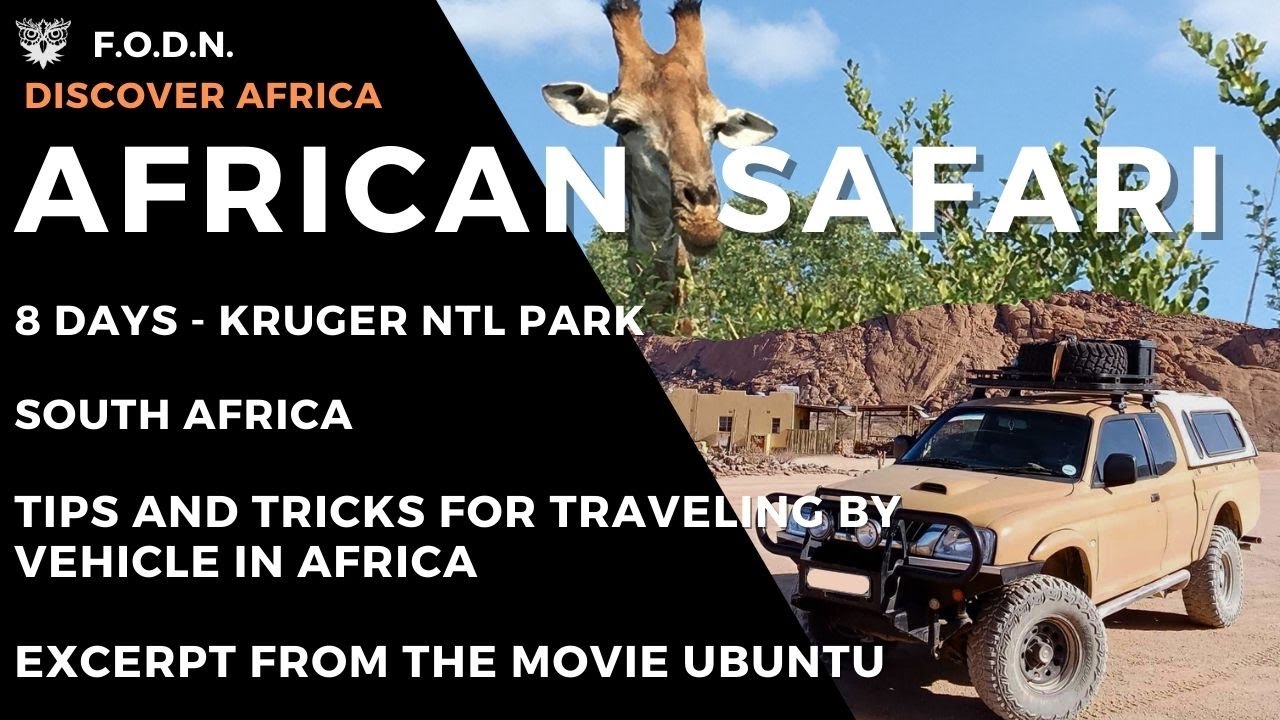 African Safari in the Kruger - South Africa