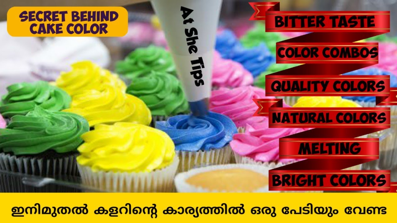 കളറിനെ കുറിച്ച് എല്ലാം | Cake Colors Use ചെയ്യുമ്പോൾ ശ്രദ്ധിക്കേണ്ട കാര്യങ്ങൾ | At She Bakes Hacks