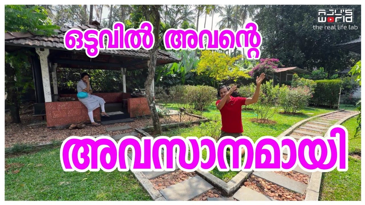 ഒരു ദാരുണാന്ത്യം.../ Family vlog /Fish recipe /Village cooking /Entertainment 