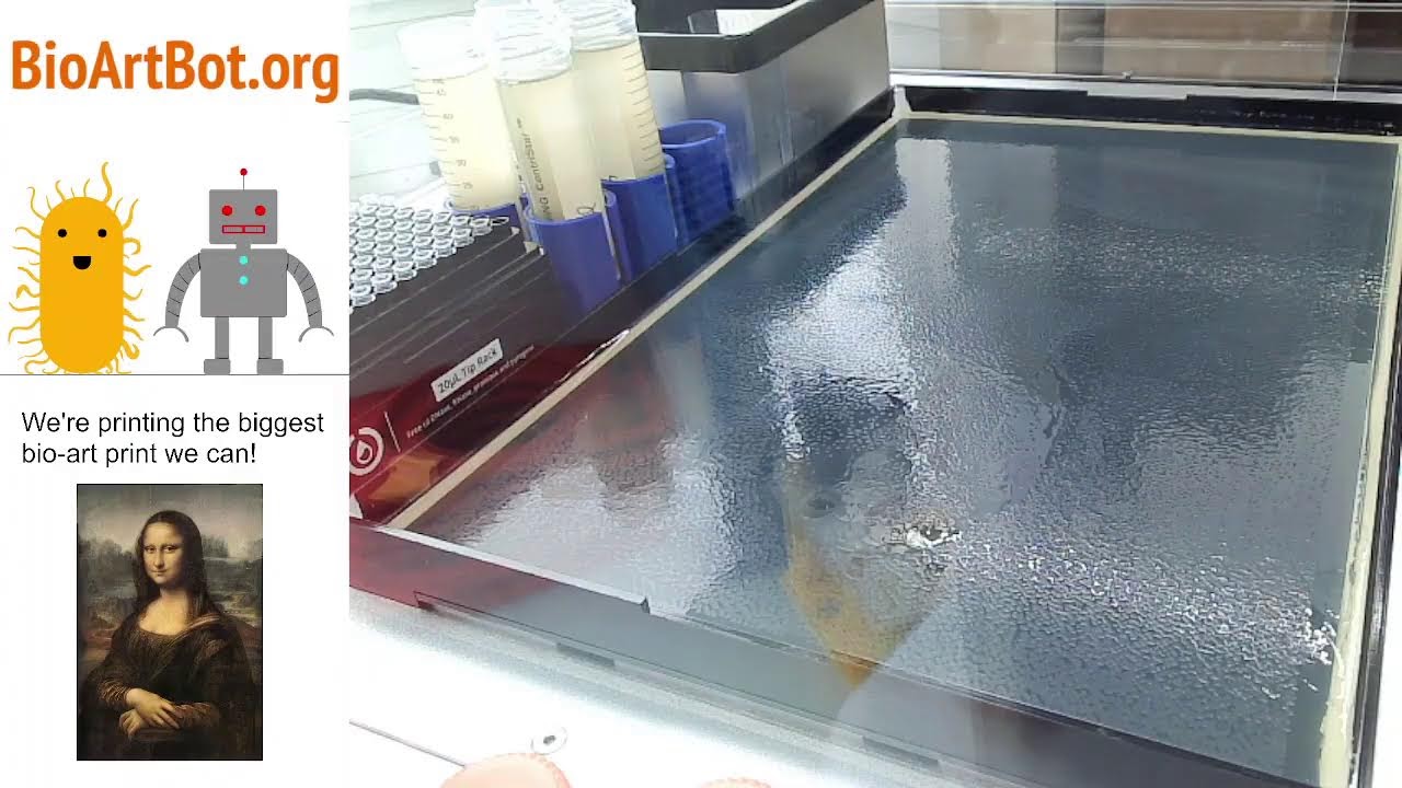 Bioprinting the Mona Lisa