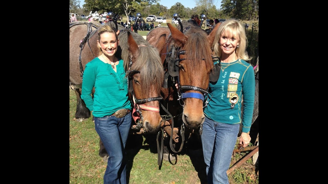 Draft Animals at Barrington Living History Museum in Texas