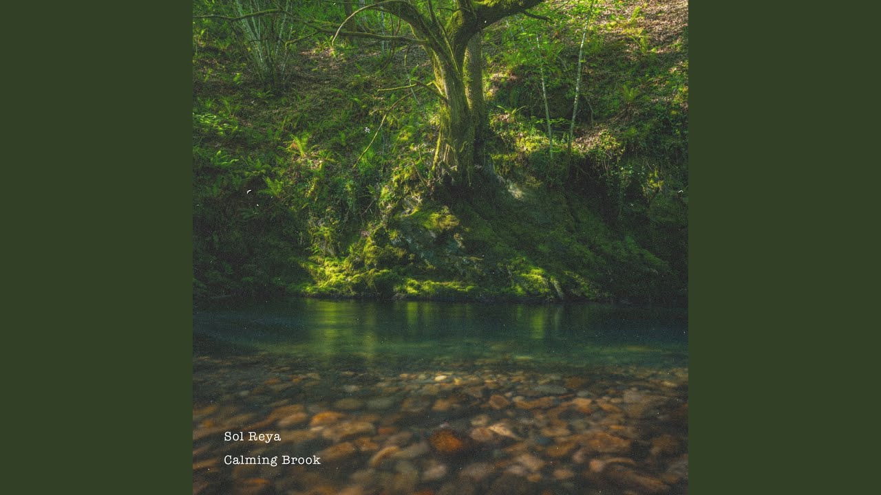 Calming Brook