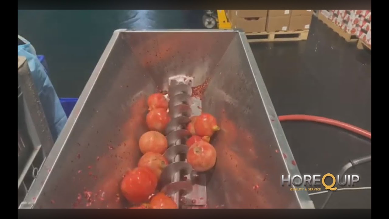 Despulpadora de Frutas: Eficiencia y Calidad en el Procesado