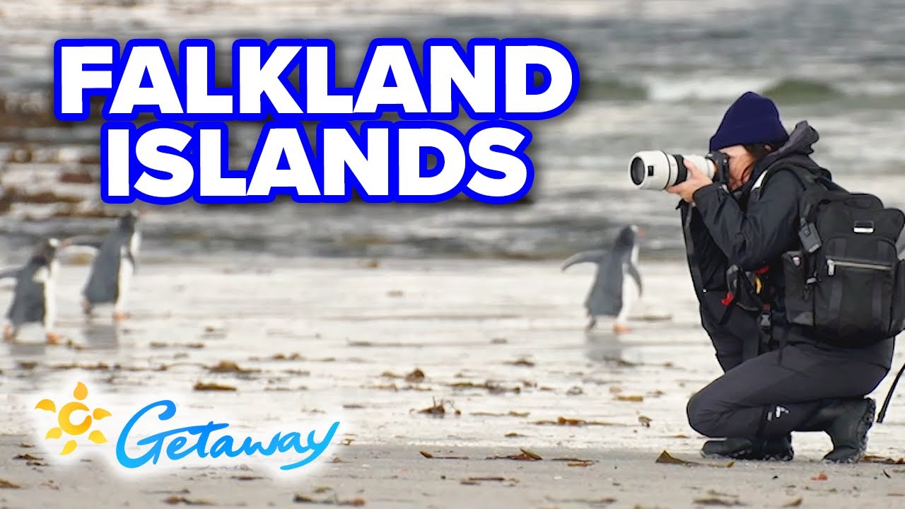 Saunders Island: The capital of The Falklands | Getaway