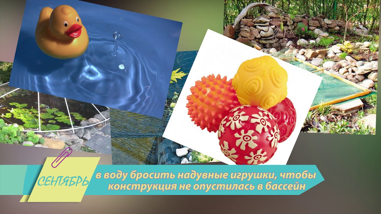 Сентябрь. Подготовка пруда к зиме