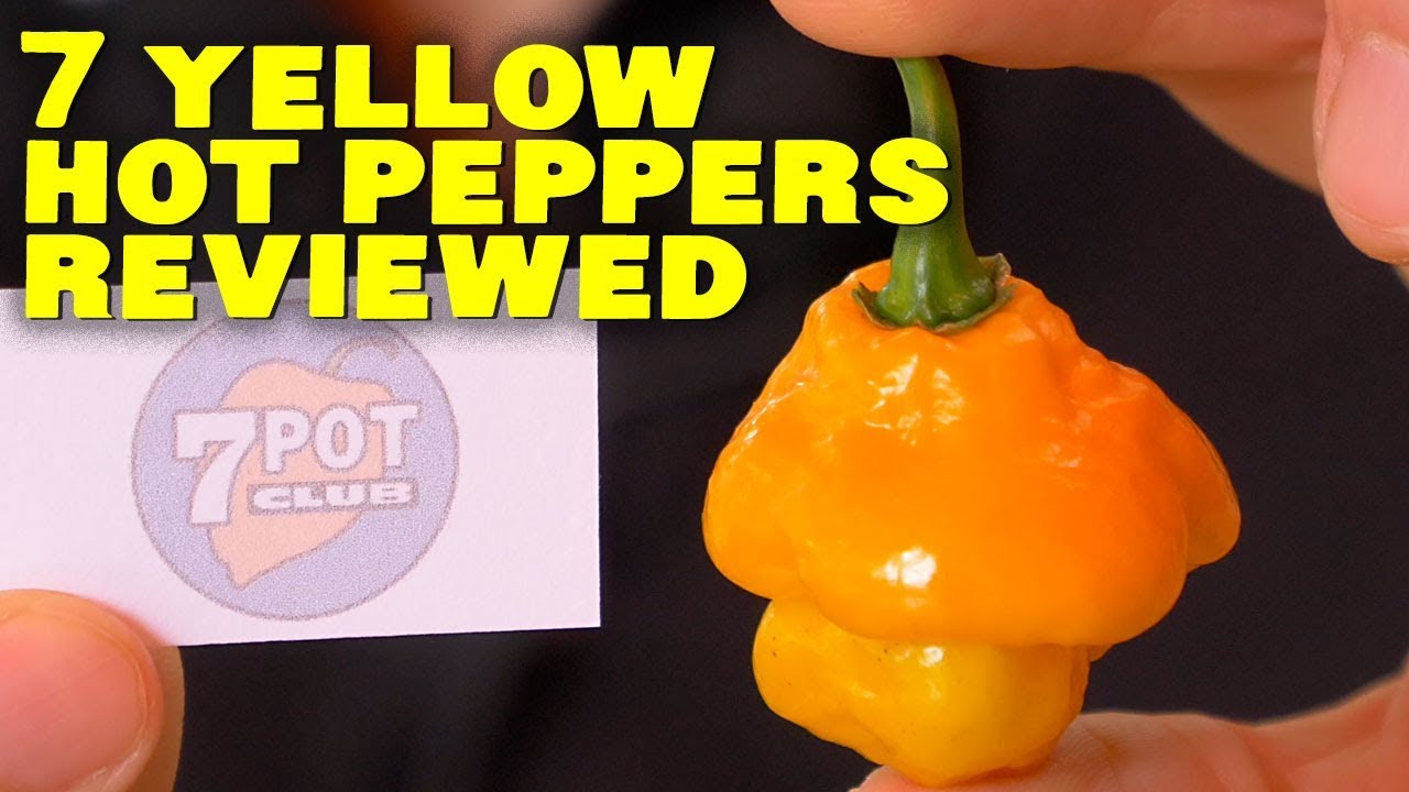 My 7 Favorite Yellow Hot Peppers Reviewed