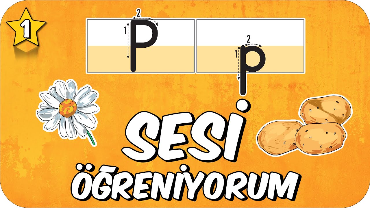 P Sesi Öğretimi 🦜 Okunuşu ve Yazılışı 🥔 1.Sınıf #2025