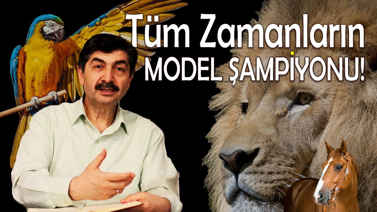 Tüm Zamanların Model Şampiyonu | Cemil Tokpınar