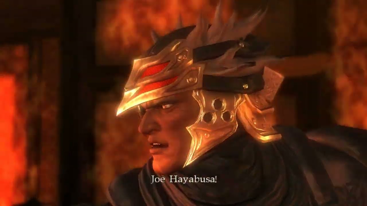 The Ninja Gaiden Experience